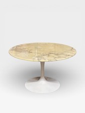 Knoll International Tulip