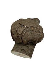 Drechselholz Kirsche