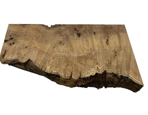 Esche maserholz mit riegel - riegel, ca